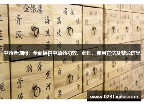 中药查询网：全面提供中草药功效、药理、使用方法及禁忌信息