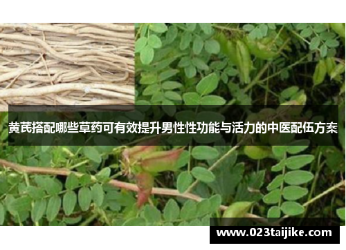 黄芪搭配哪些草药可有效提升男性性功能与活力的中医配伍方案